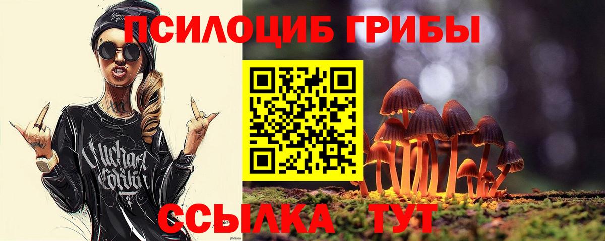 Галлюциногенные грибы MAGIC MUSHROOMS  Вход с VPN  цены наркотик  Псилоцибиновые грибы GOLDEN TEACHER  Северобайкальск 